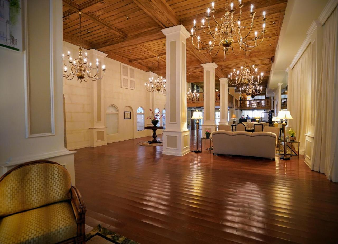 Renovated Studio In The Heart Of Palm Beach - Free Parking, Security Box Exteriér fotografie